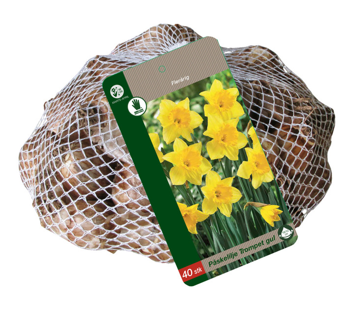 Grønne Fingre® blomsterløg 'Narcissus Yellow' 40 stk.